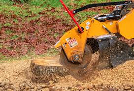 Best Emergency Tree Removal  in North Tonawanda, NY