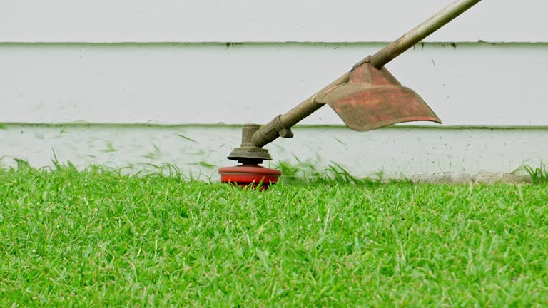 Landscape Design and Installation in North Tonawanda, NY